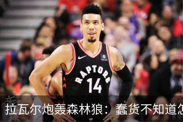 拉瓦尔炮轰森林狼：蠢货不知道怎么赢球