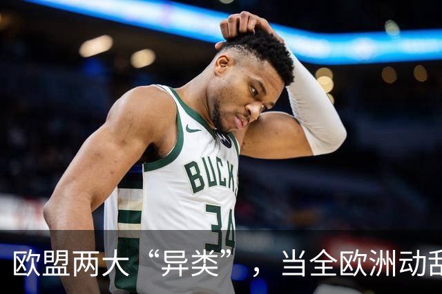 欧盟两大“异类”，当全欧洲动乱时，靠中国走上“捷径”躲过一劫