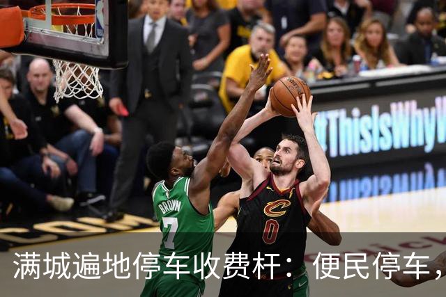 满城遍地停车收费杆：便民停车，为何变了味道？