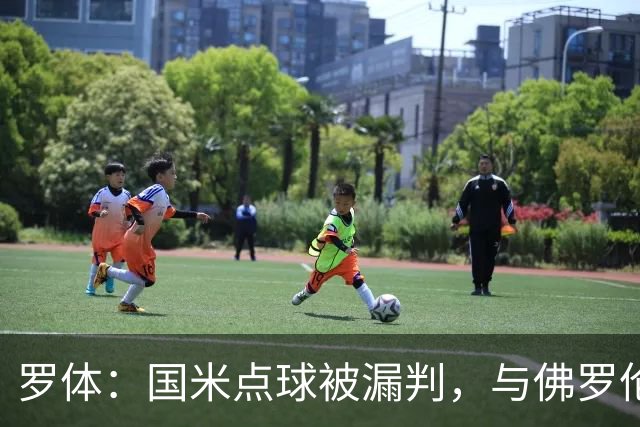罗体：国米点球被漏判，与佛罗伦萨一役裁判VAR全不及格