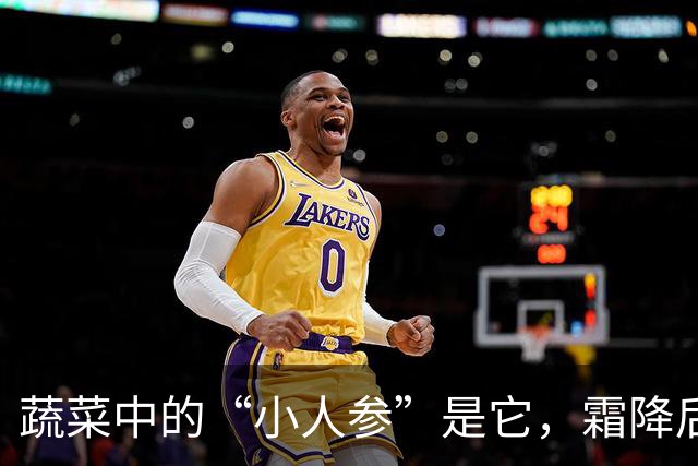 蔬菜中的“小人参”是它，霜降后常吃，一补充维生素，二提高免疫力，三低热量